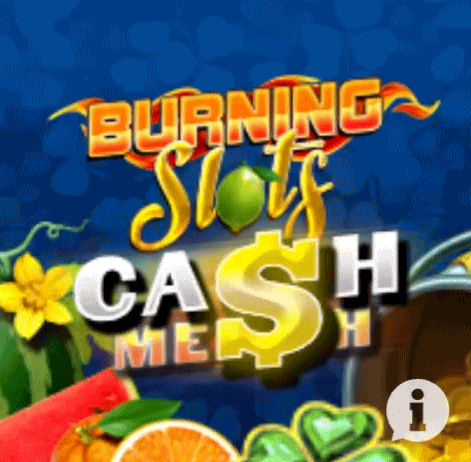 Burning Cash — slot en Oneplay Casino